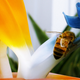 Illustration for article titled 264 Stupendous Spring Wallpapers